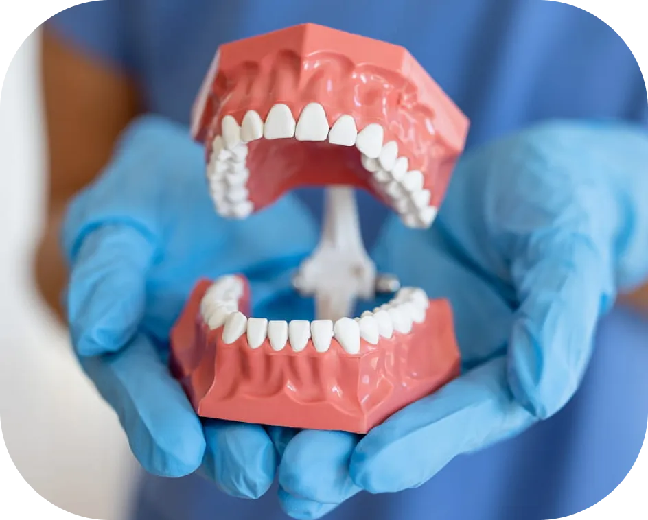 Encino Dental Esthetics
