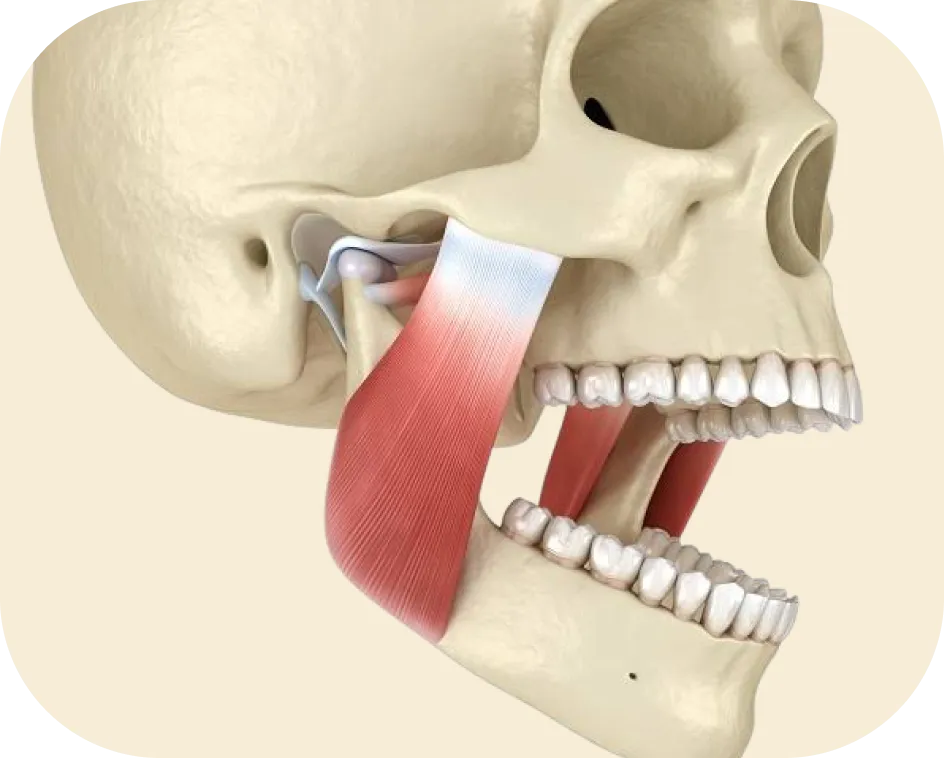 Encino Dental Esthetics
