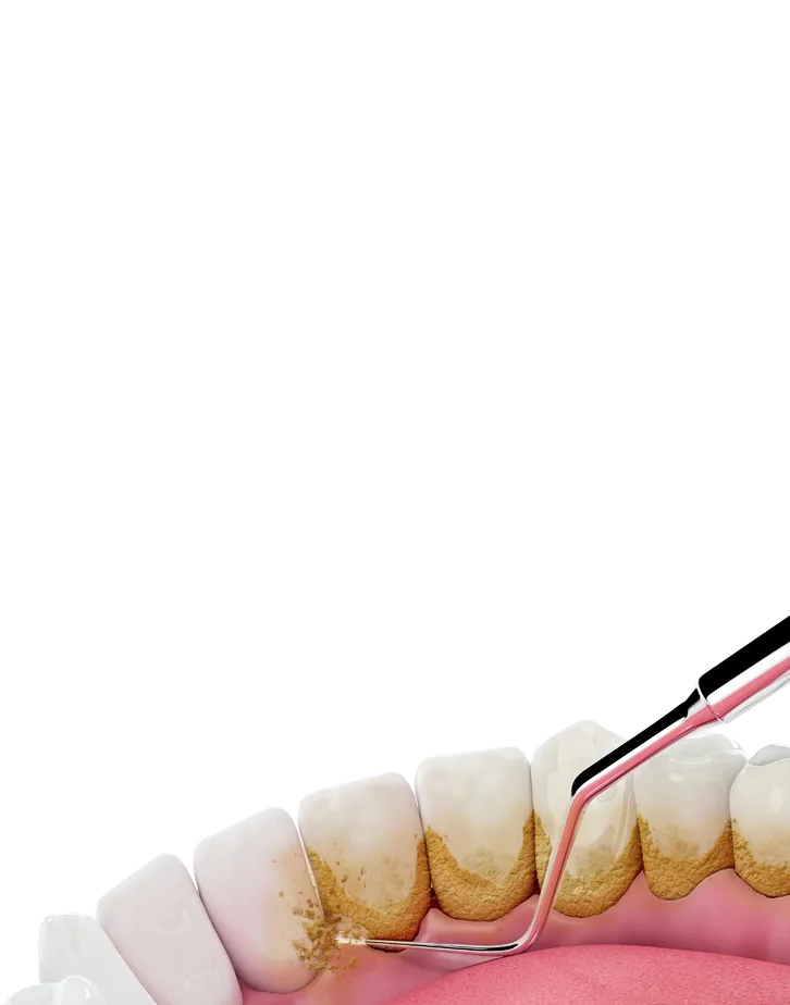 Encino Dental Esthetics
