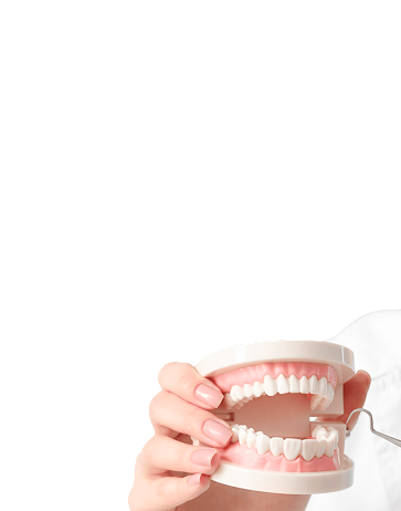 Encino Dental Esthetics