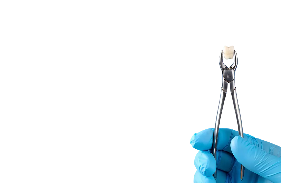 Encino Dental Esthetics