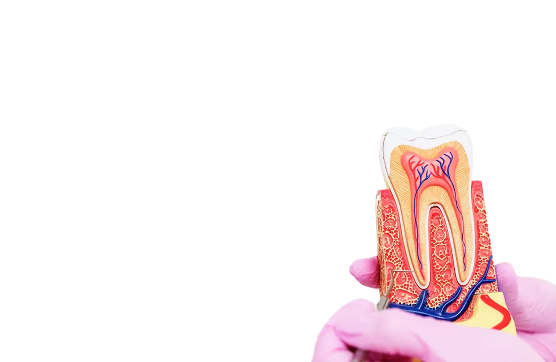 Encino Dental Esthetics
